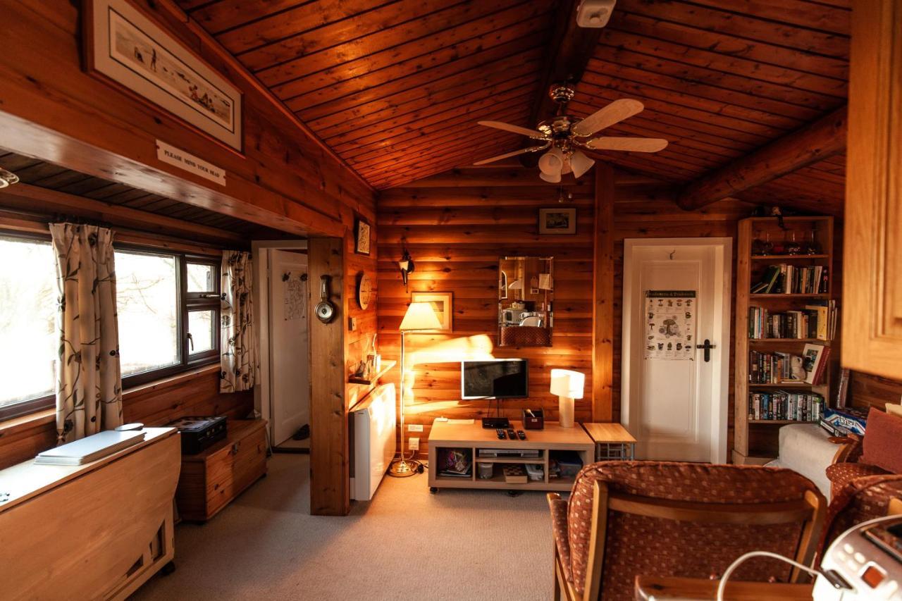 Rustic Log Cabin In Snowdonia By Seren Short Stays Trawsfynydd ภายนอก รูปภาพ
