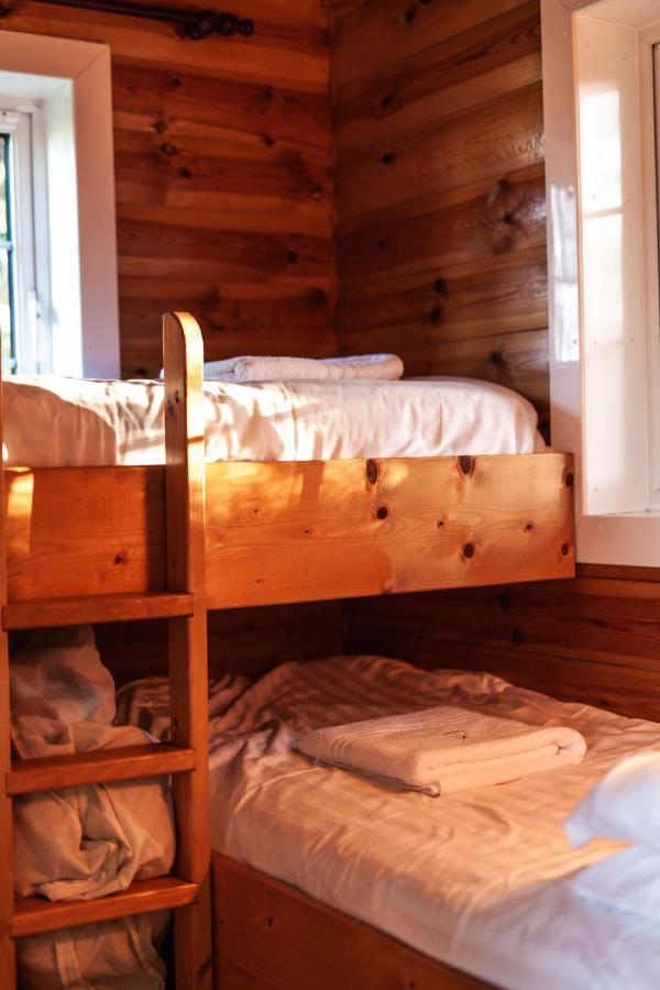 Rustic Log Cabin In Snowdonia By Seren Short Stays Trawsfynydd ภายนอก รูปภาพ