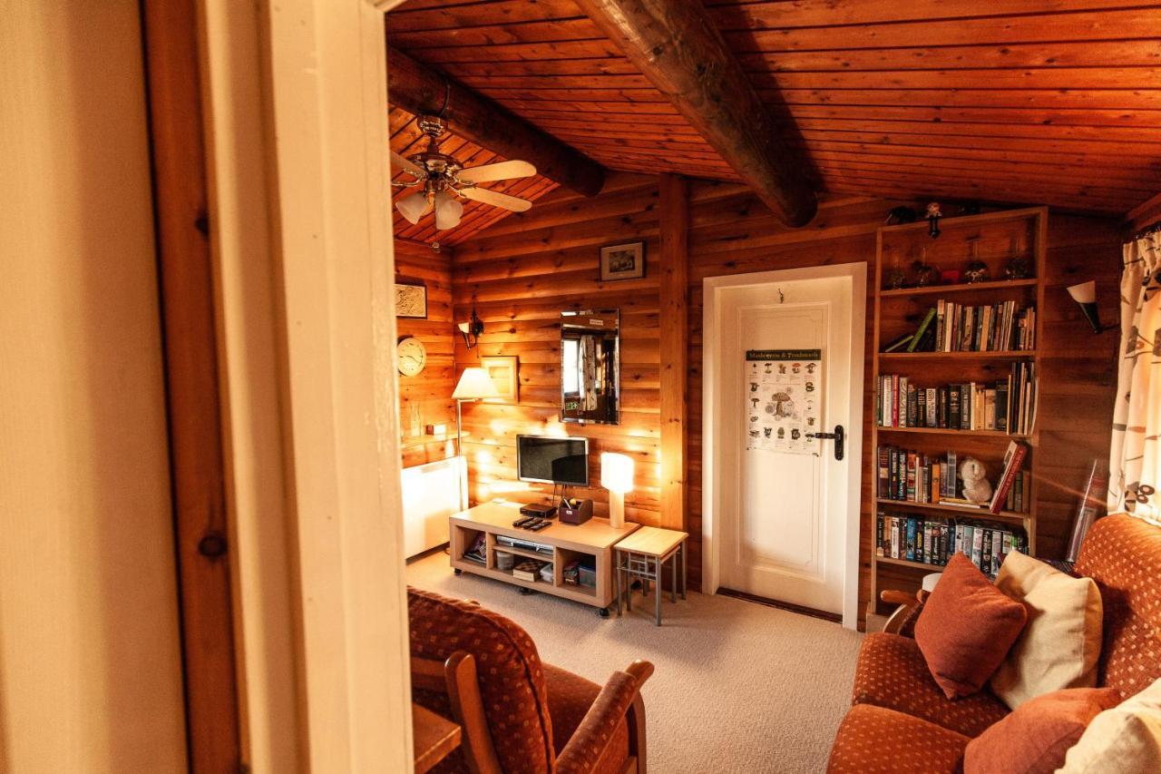 Rustic Log Cabin In Snowdonia By Seren Short Stays Trawsfynydd ภายนอก รูปภาพ